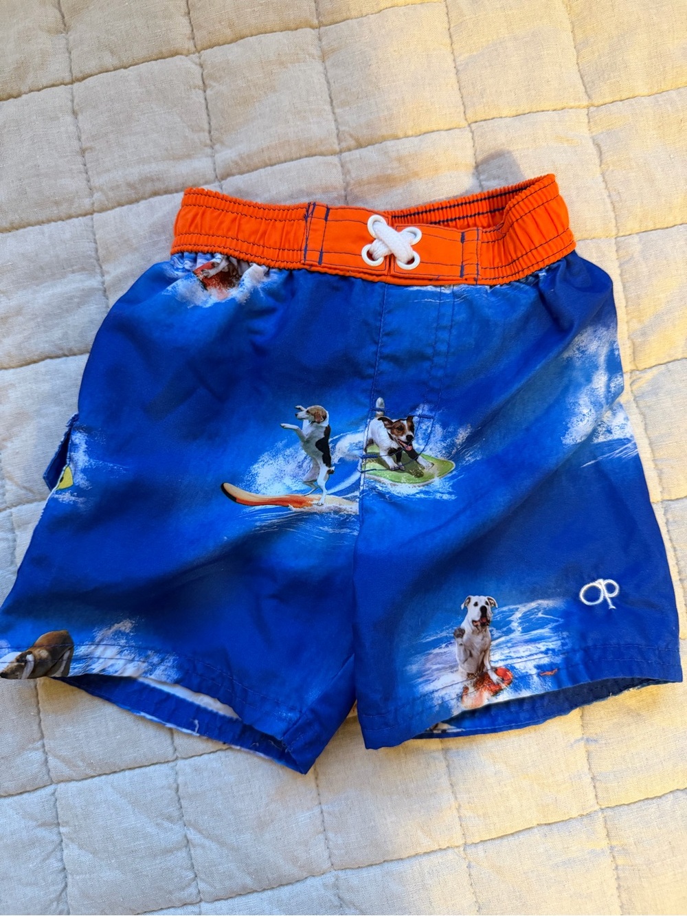 Blue Swim Shorts with Orange Waistband in Surf Dog Print, 18 Months
